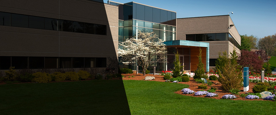 Frederica Landscapers