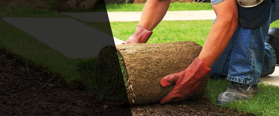 Frederica Landscapers